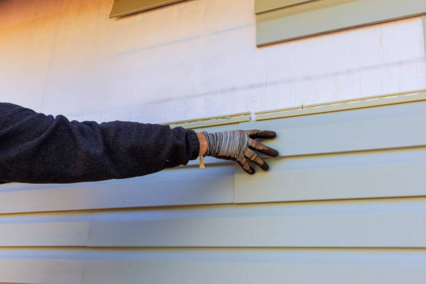 Best Insulated Siding Installation  in Hammond, LA